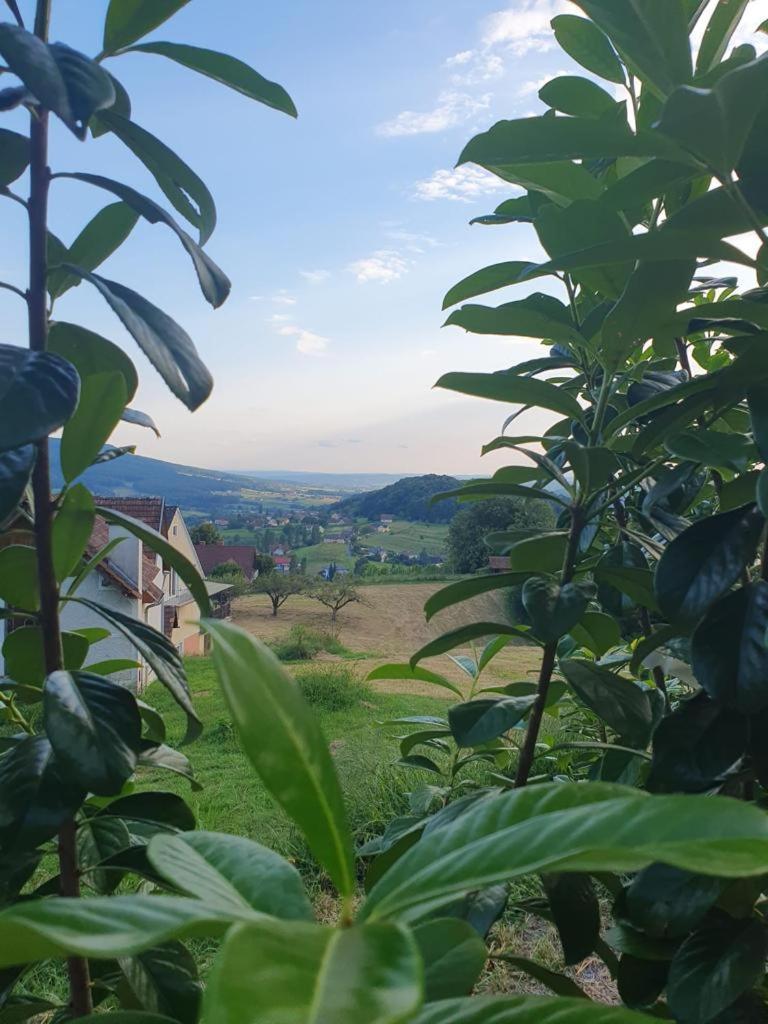 Feriendomizil Schleich Am Steinriegl Daire Bad Gleichenberg Dış mekan fotoğraf